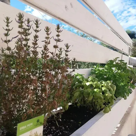 招待所 Flamingo Guest House-