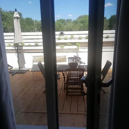 Flamingo Guest House- 奧爾比亞