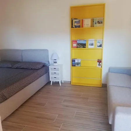 Flamingo Guest House- 奧爾比亞