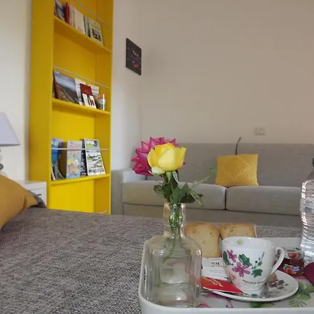 Flamingo Guest House-