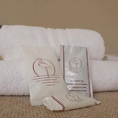 Guest house Flamingo Guest House- *