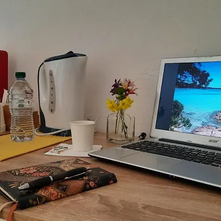 Flamingo Guest House- 招待所