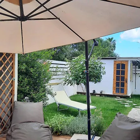 Guest house Flamingo Guest House- *