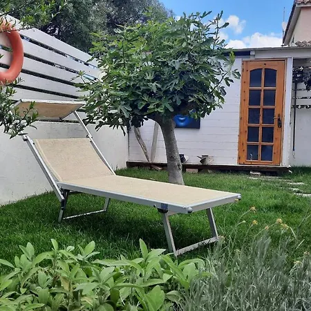 招待所 Flamingo Guest House- 奧爾比亞