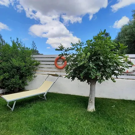 Flamingo Guest House-