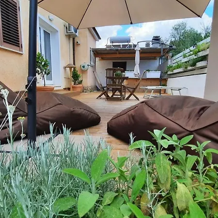 Guest house Flamingo Guest House-