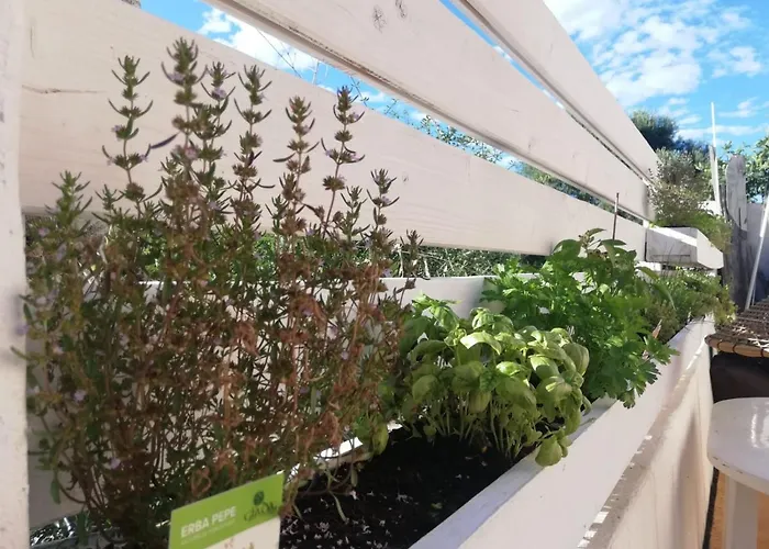 Pensionat Flamingo Guest House-