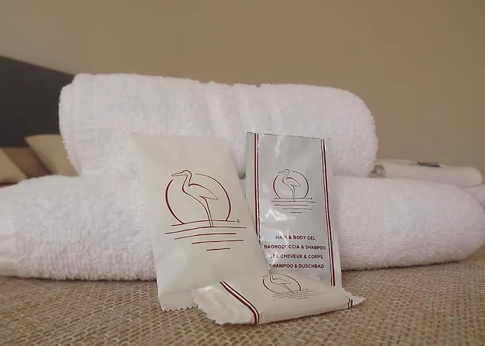 Pensionat Flamingo Guest House- 3*