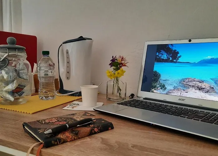 Flamingo Guest House- Pensionat