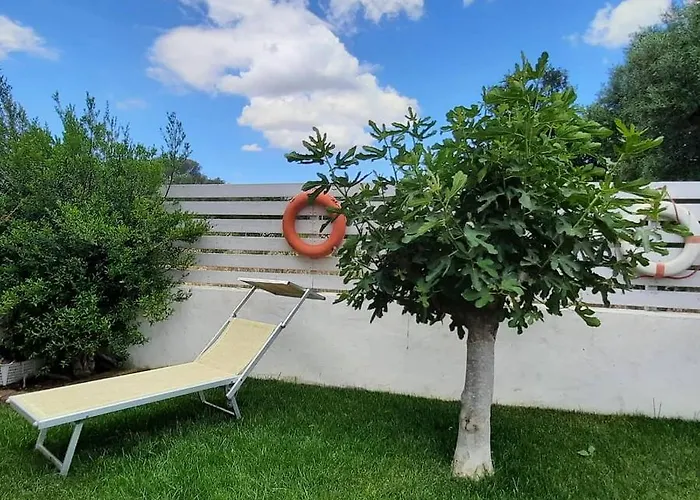 Flamingo Guest House-